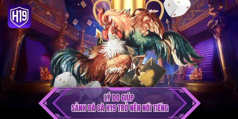 Lý do giúp sảnh đá gà H19 trở nên nổi tiếng
